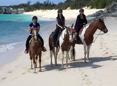 Bermuda Horse Rides