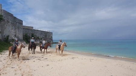 Horse Ride in Bermuda
