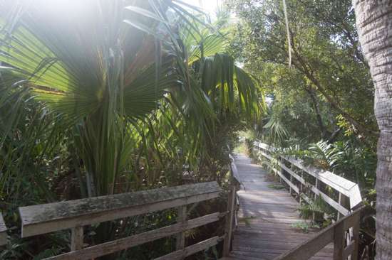 Paget Marsh Bermuda