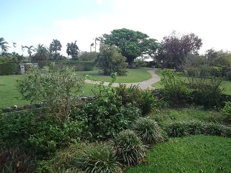 Bermuda Arboretum