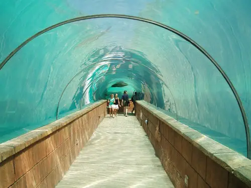 Atlantis Underwater Tunnel