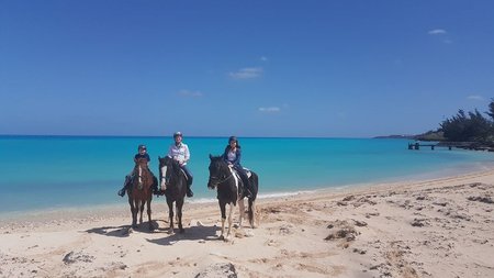 Bermuda Horse Riding