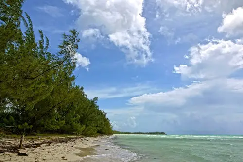 Gold Rock Beach Grand Bahama