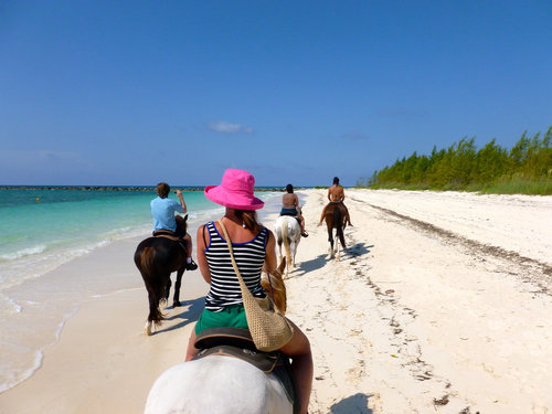 Horse Rides Grand Bahama