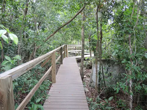 Lucayan National Park