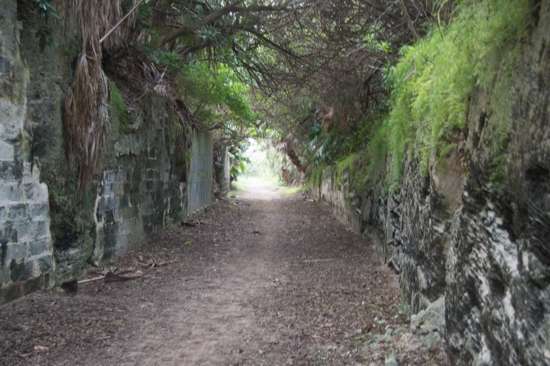 Southampton Railway Trail