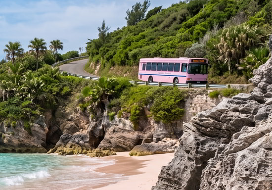 Bermuda Bos on a Scenic Road