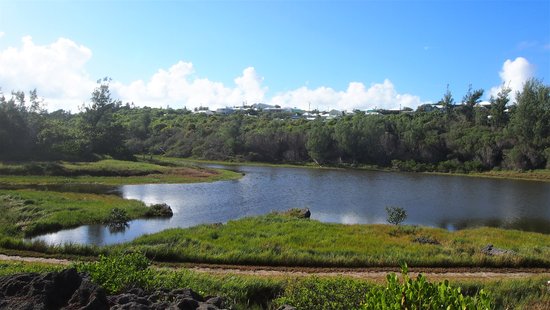 Spittal Pond Bermuda