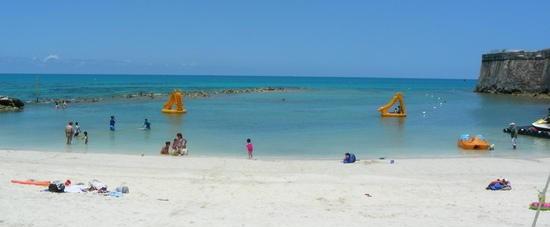 Snorkel Park Beach Bermuda
