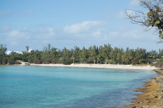 Shelly Bay Beach Bermuda