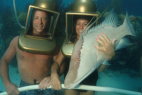 Bermuda Helmet Dive - Hogfish
