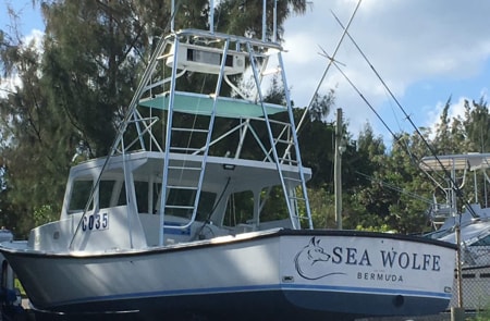 Sea Wolfe Sportfishing Bermuda