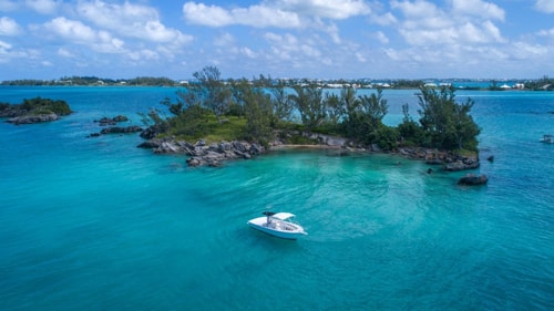 Reef Snorkeling Bermuda