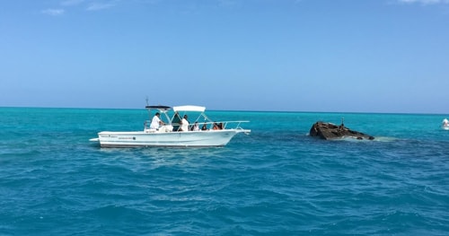 Shipwreck Snorkeling Bermuda