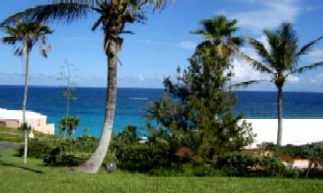 Munchies Bermuda, Fish