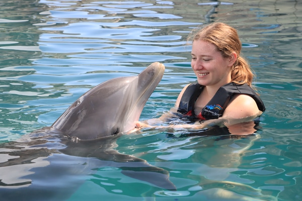 Dolphin Interactive Experience