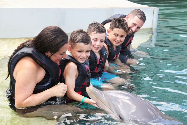 Dolphin Friends and Family