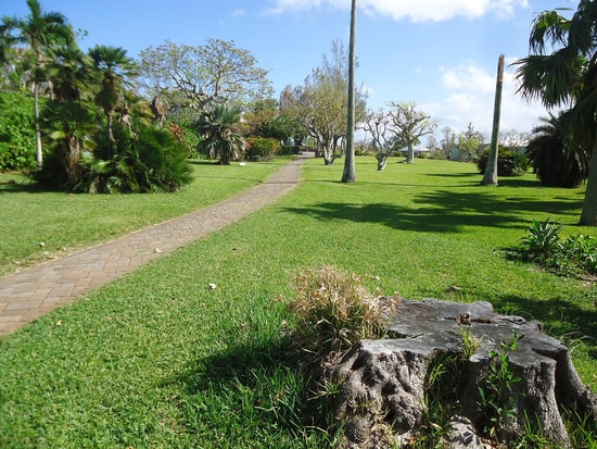 Bermuda Botanical Gardens