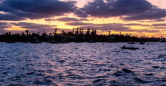 Mangrove Bay Sunset