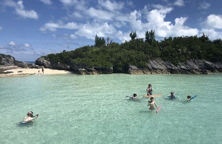 Turtle Cove Snorkeling